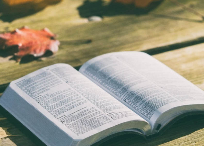 Basics of Studying the Bible | Next Level Church