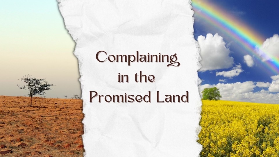 Complaining in the Promised Land, Week 2